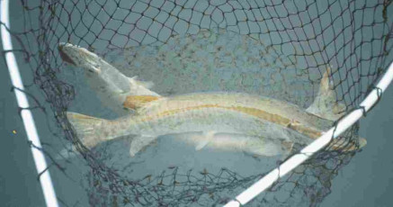 0772c6ae-2e7e-4189-8410-f6f89780ee7a