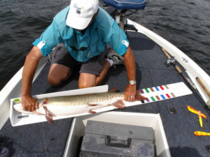 07cb0c00-8df2-4823-9558-e94c246b50ad