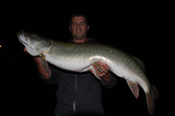 08C6E1C4-28AC-45A8-B72E-53922817F7E9