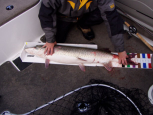 08a0b98a-4af7-478d-83b1-66c10593a426