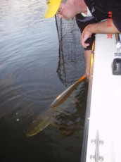 08f86750-8077-45c3-8cb8-74ee13350f2b