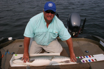 098e64c8-c336-4e02-8909-894b5b68cbbe