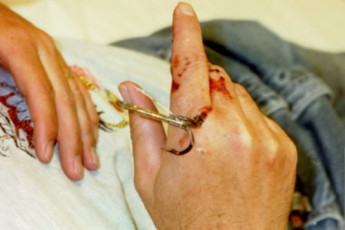 09ff20ba-cc93-4bde-b3d7-c184517d5450