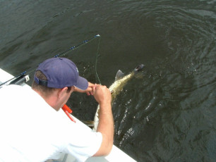 0a19c24b-7ef2-4a32-895e-34db1e766156