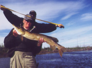 0a231989-69e0-4971-9245-0d30c76cf9ba