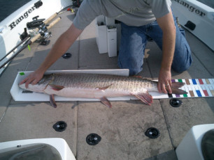 0b79ebe0-861f-4a53-a85b-4b0870d09f63