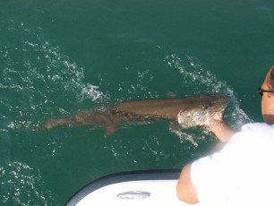 0c536435-a178-46c4-907c-6c6c11ef0384