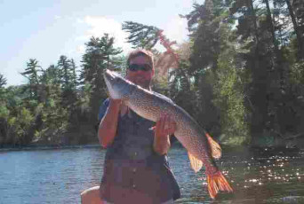 0d214f32-0531-4653-986f-1693ebd0ecfb