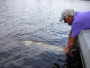 0d30a6ed-155b-4947-9ef0-1f0a16227ec0