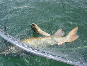 0da5408e-9db0-498d-a492-ca63abe8772a