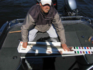 0eb300e5-02a3-438e-99c4-ccac041d7136