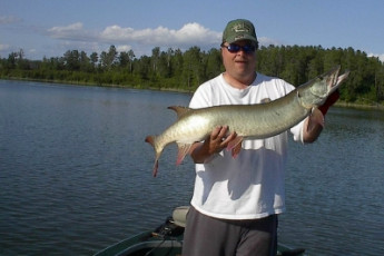 0f860ce7-c84a-4630-a7b3-2e8d83a39ef5