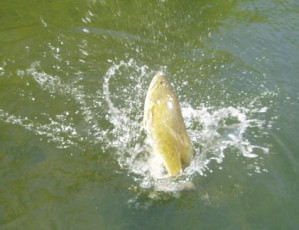 0fb4af51-3b71-419e-92f8-dc1091a13f90