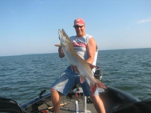 0fb9114e-f701-434c-9abb-9c2201a9d3d0