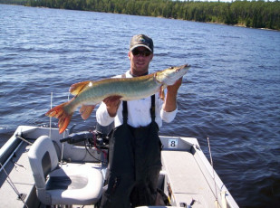 10182792-cf25-48ef-9bad-fce670fd352e