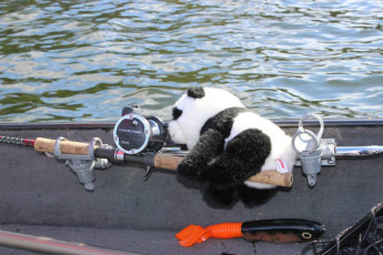 110A1A14-5709-4FE5-9E46-856B61428DC4