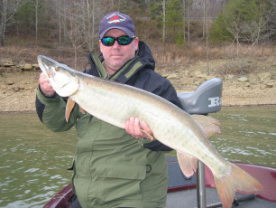 118d7600-df4e-4886-853c-8a730e3ddfed