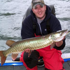 119c94e8-6a7d-402c-8248-b1915b44b855