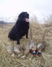 12bf8229-87df-456e-ae16-e839fcc2d8a7