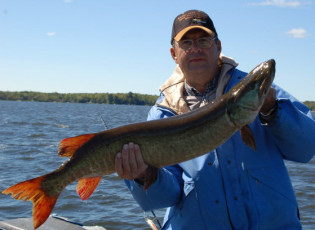 12de028f-76b3-4c97-95be-6b36d483471f