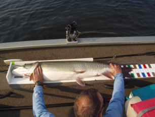 1495b5c1-e4aa-4c60-9602-5cbaf0559f1d