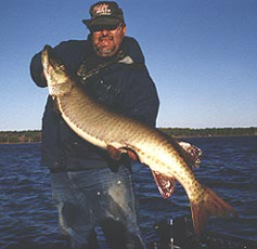 15115d5d-1751-4dfa-b1c3-6951fb23b9af