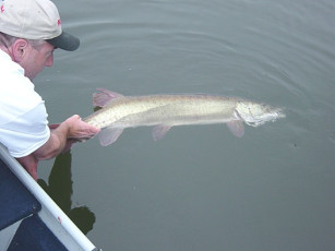 152ade5c-57ba-4d30-9b45-16a128a38e5f