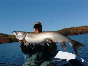 1542afaf-ccf1-4ee3-9d3e-b3672d2ff6ca