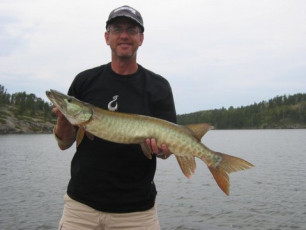 161ae980-f833-44cc-877d-458b763b53da