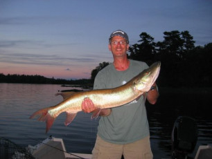 175f6ab6-e91b-4d9d-b4a0-a5cb099417f8