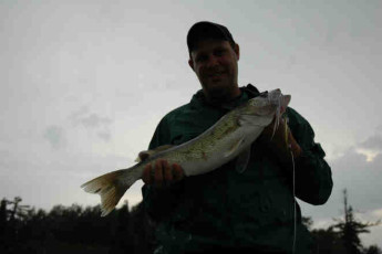 17edff97-9f58-4039-bd82-9a1f8d1edb13