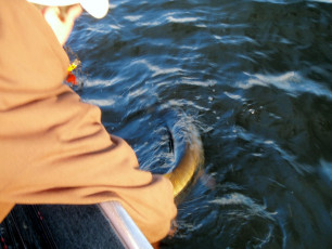 18A5F6CF-0DCE-4011-A05A-D0D2B6D1C908