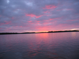 198288af-afad-4048-9b73-b35a1a57b686