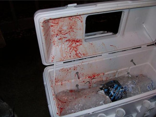 1ADABA81-1B08-47E8-9FFB-FCE4CE6E379B