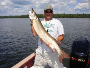 1adce69d-04b0-44c3-abb1-7521e1d4ee12