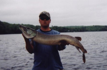 1b2bcaf0-375b-4a8a-a983-8c2ef5bb40b9