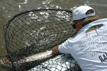 1b305264-ceed-4cf5-9b41-d4e0a9c4e910