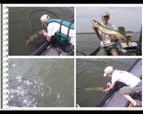 1d4d8326-8166-4c07-a81e-d9838379b161