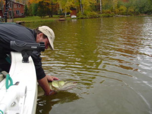 1da067a4-c21d-4215-909b-5f81ecc49e43