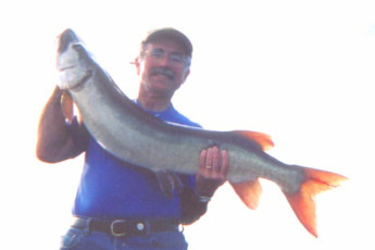 1df11d05-5b0c-4bd4-a06b-afc606904831