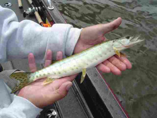 1f5c28c0-ac80-42d4-b078-ecced3553f63