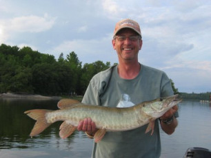 20990d03-f2b0-4efe-ab64-2619559a37e5