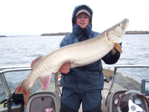 20A15D43-A320-4A16-A625-DE349EC0DDA2