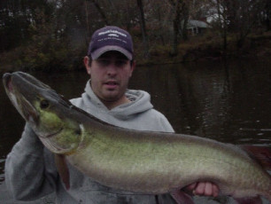 20b72f5a-2719-4653-89d6-6c28126c7d13