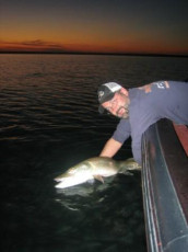 21402d9d-3b92-40b1-a779-661101898f58