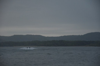 22CCD158-EDF0-4513-BD71-A2EEF29118D7