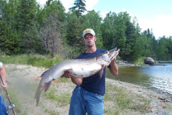 22c54911-786e-416e-961b-a5bdf142c68e