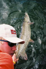 238f5149-46f0-4c81-b3cf-cf3a5691c33f