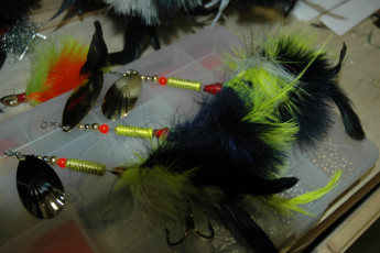 23a7e03e-7fe0-4423-bf7e-60f6c6672656