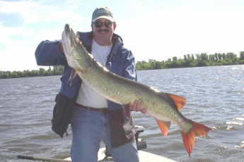 24658bad-b99a-40b0-a0f7-bbe2ba957ff9